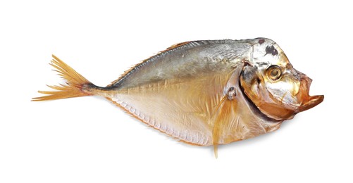 Dried moonfish isolated on white, top view