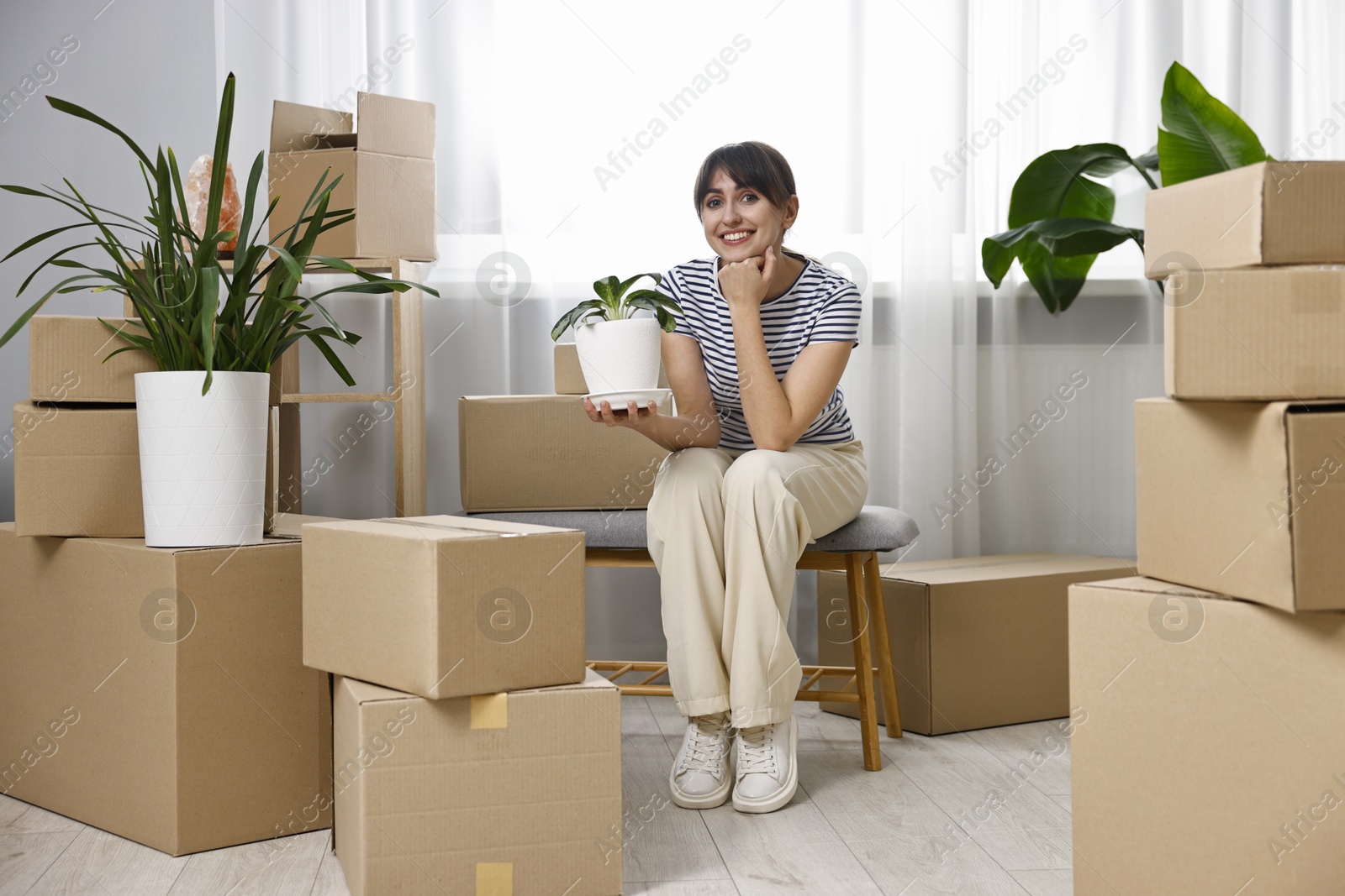 Photo of Moving day. Happy woman with houseplant and cardboard boxes in her new home