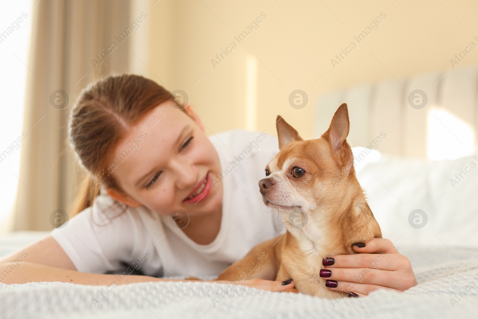 Photo of Teenage girl with her cute Chihuahua dog on bed at home, selective focus