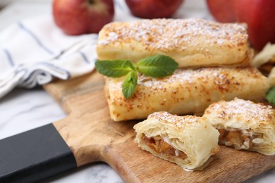 Photo of Tasty apple strudels with powdered sugar and mint on table, closeup