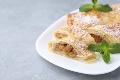 Photo of Tasty apple strudels with powdered sugar and mint on light grey table, closeup. Space for text