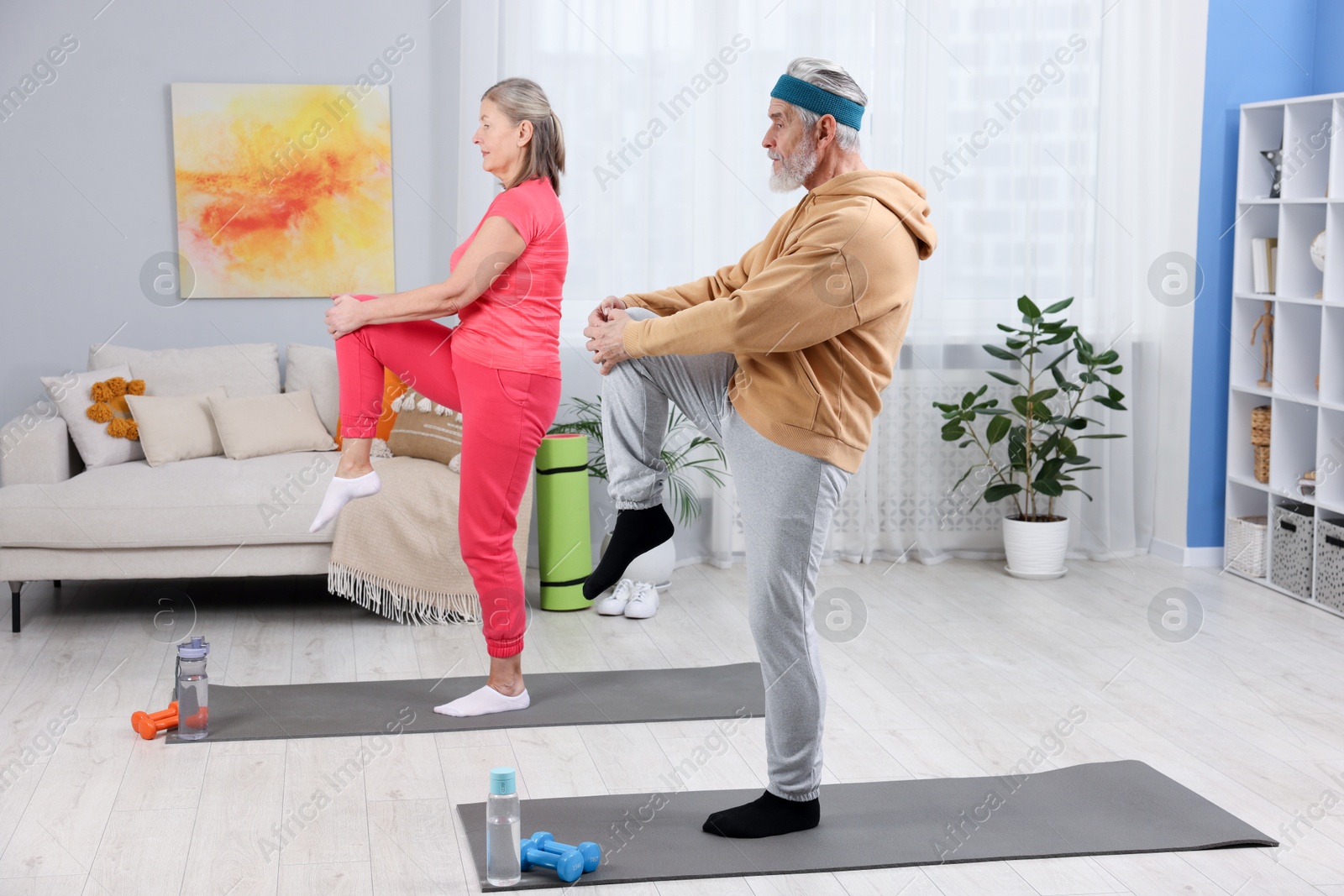 Photo of Elderly couple exercising at home. Healthy leisure