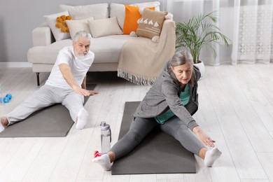 Photo of Elderly couple exercising at home. Healthy leisure