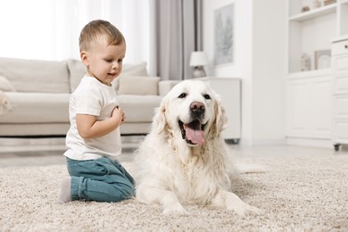 Photo of Little boy with cute dog on carpet at home