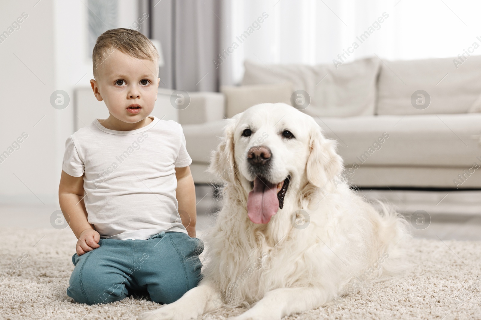 Photo of Little boy with cute dog on carpet at home