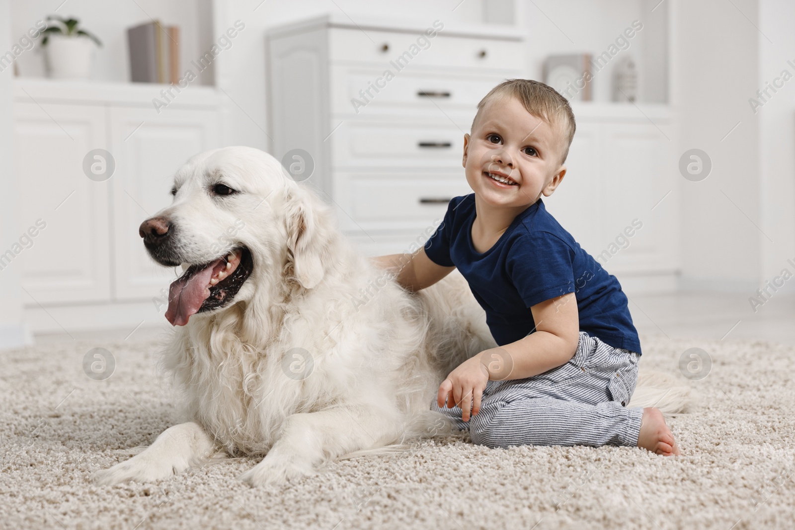 Photo of Happy little boy with cute dog on carpet at home