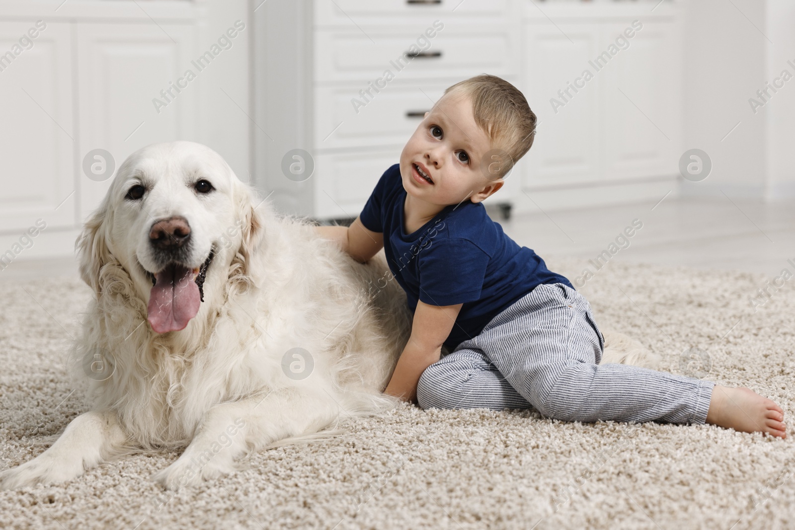 Photo of Little boy with cute dog on carpet at home