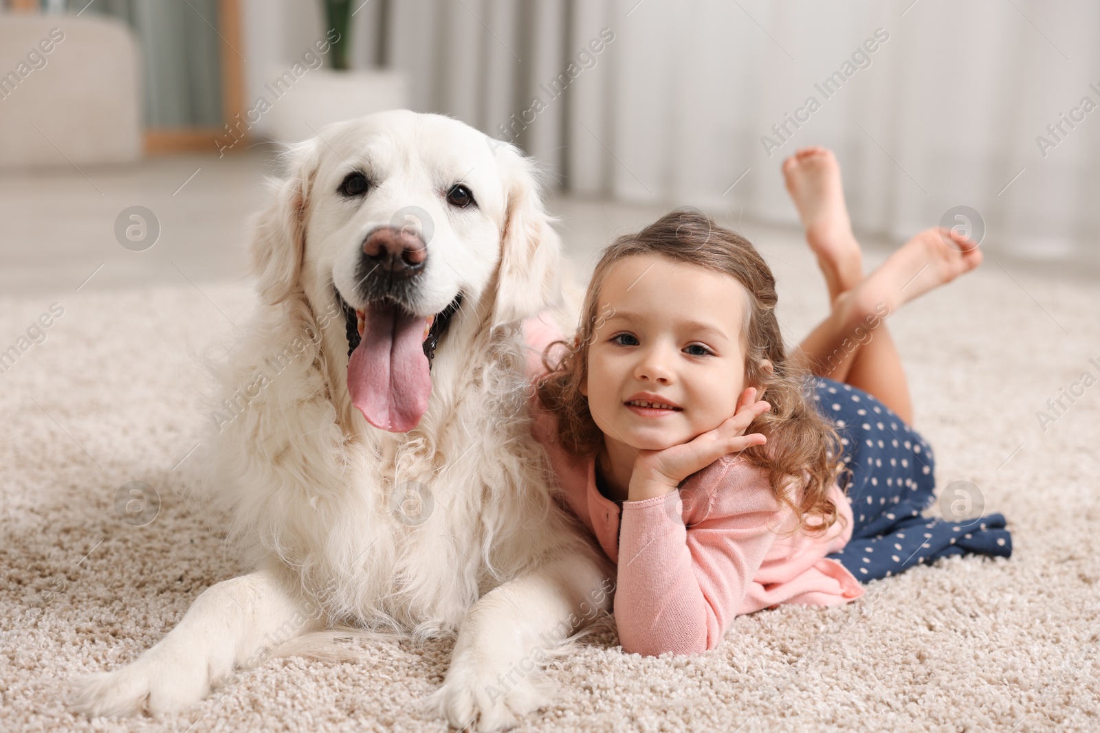 Photo of Little girl with cute dog on carpet at home