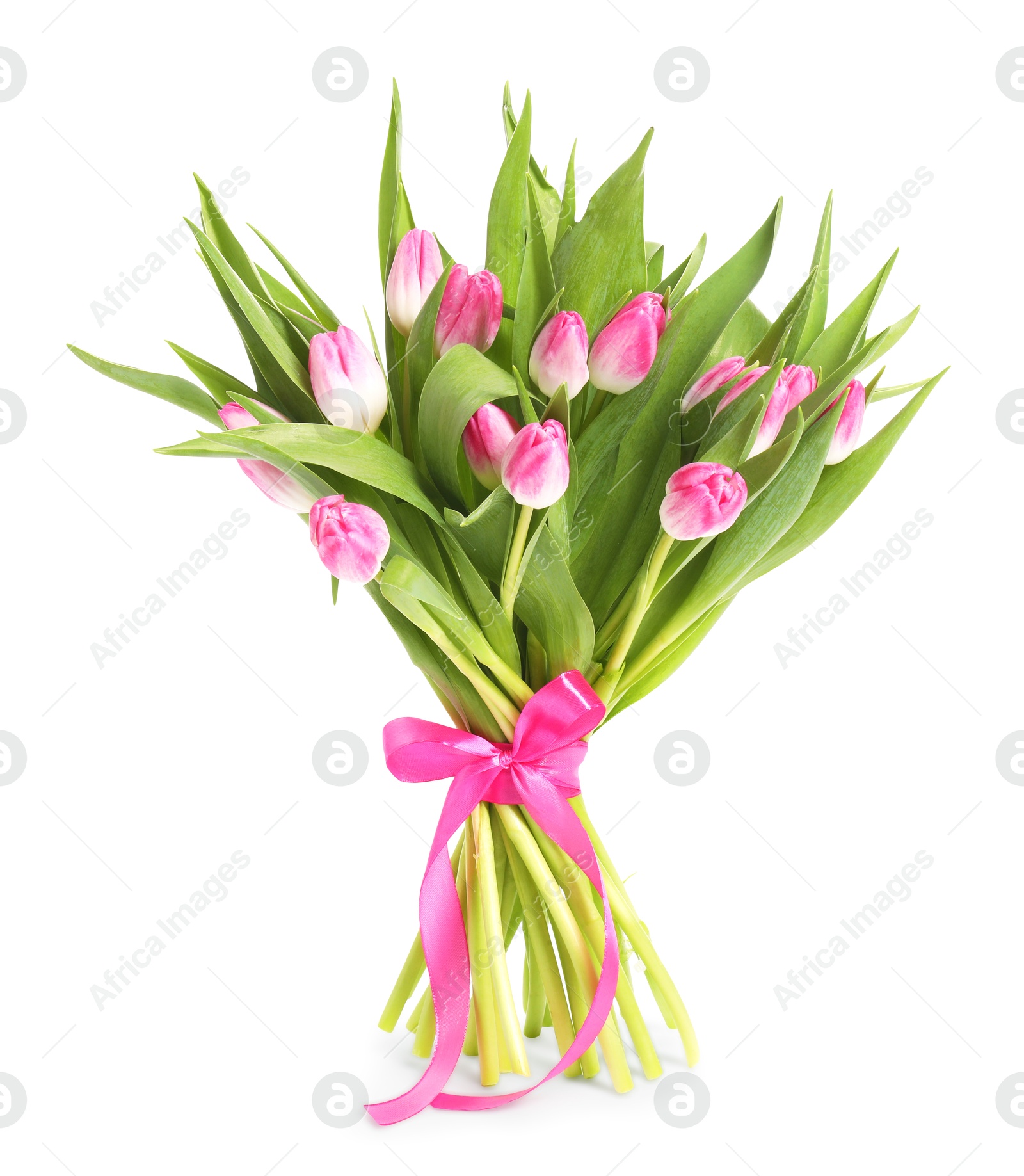 Photo of Bouquet of beautiful pink tulips isolated on white