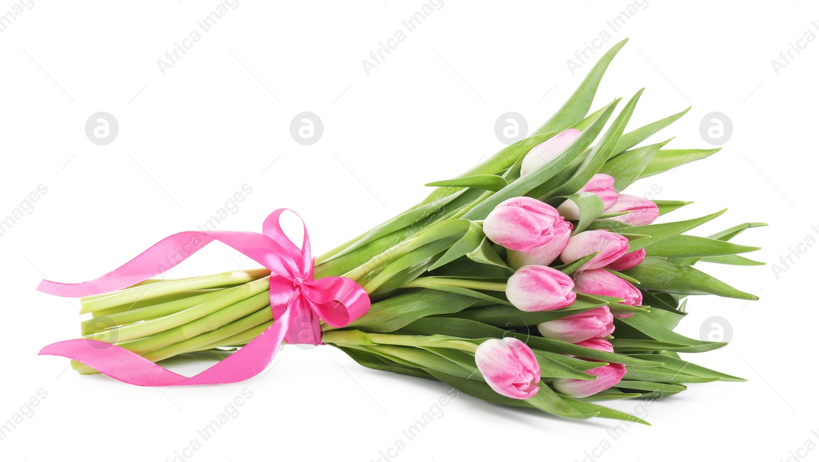 Photo of Bouquet of beautiful pink tulips isolated on white