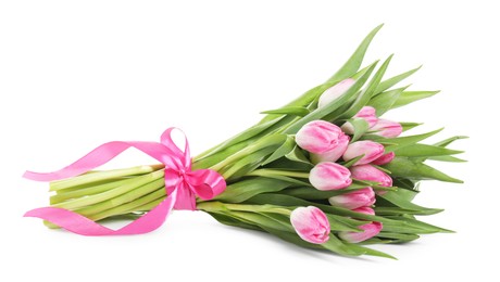 Bouquet of beautiful pink tulips isolated on white