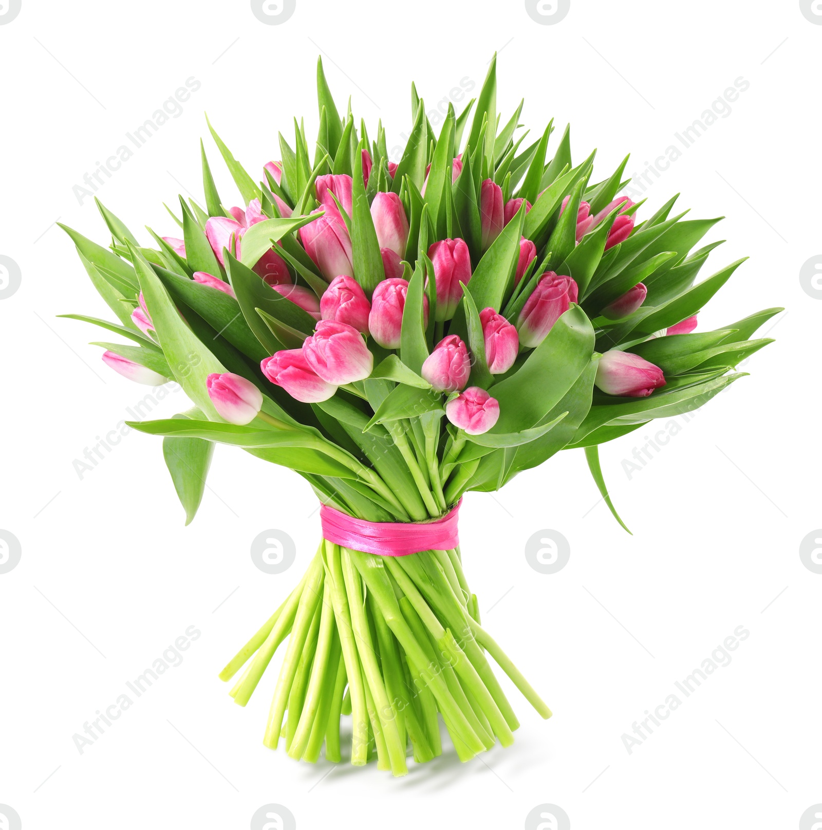 Photo of Bouquet of beautiful pink tulips isolated on white