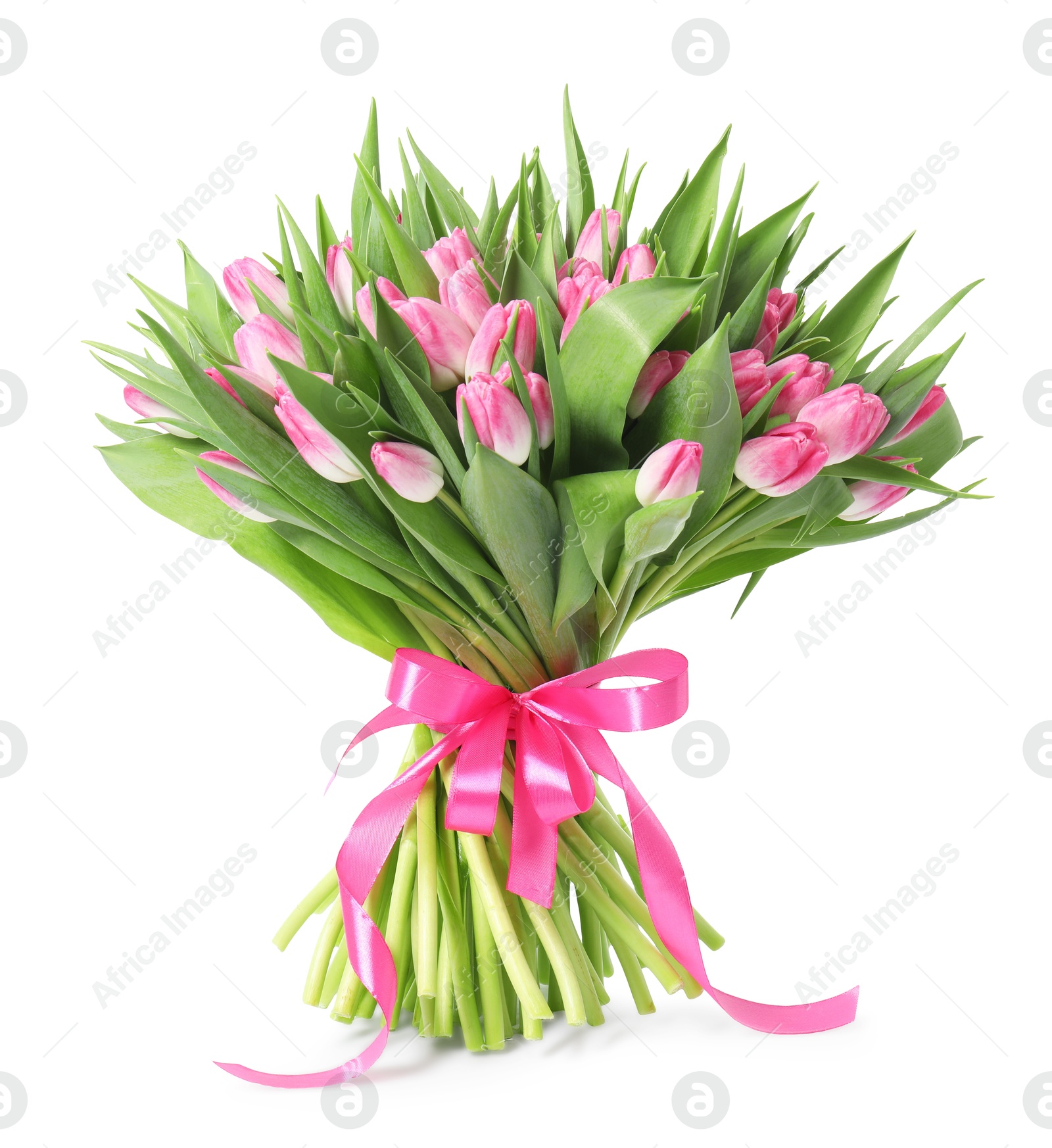 Photo of Bouquet of beautiful pink tulips isolated on white