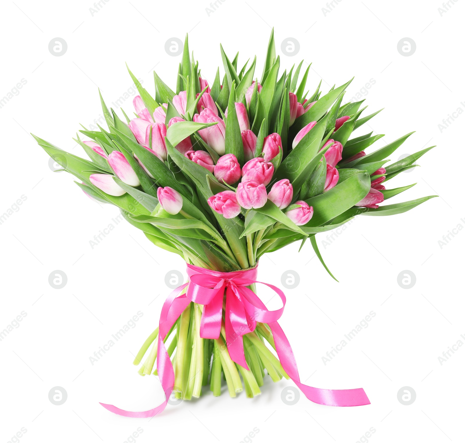 Photo of Bouquet of beautiful pink tulips isolated on white