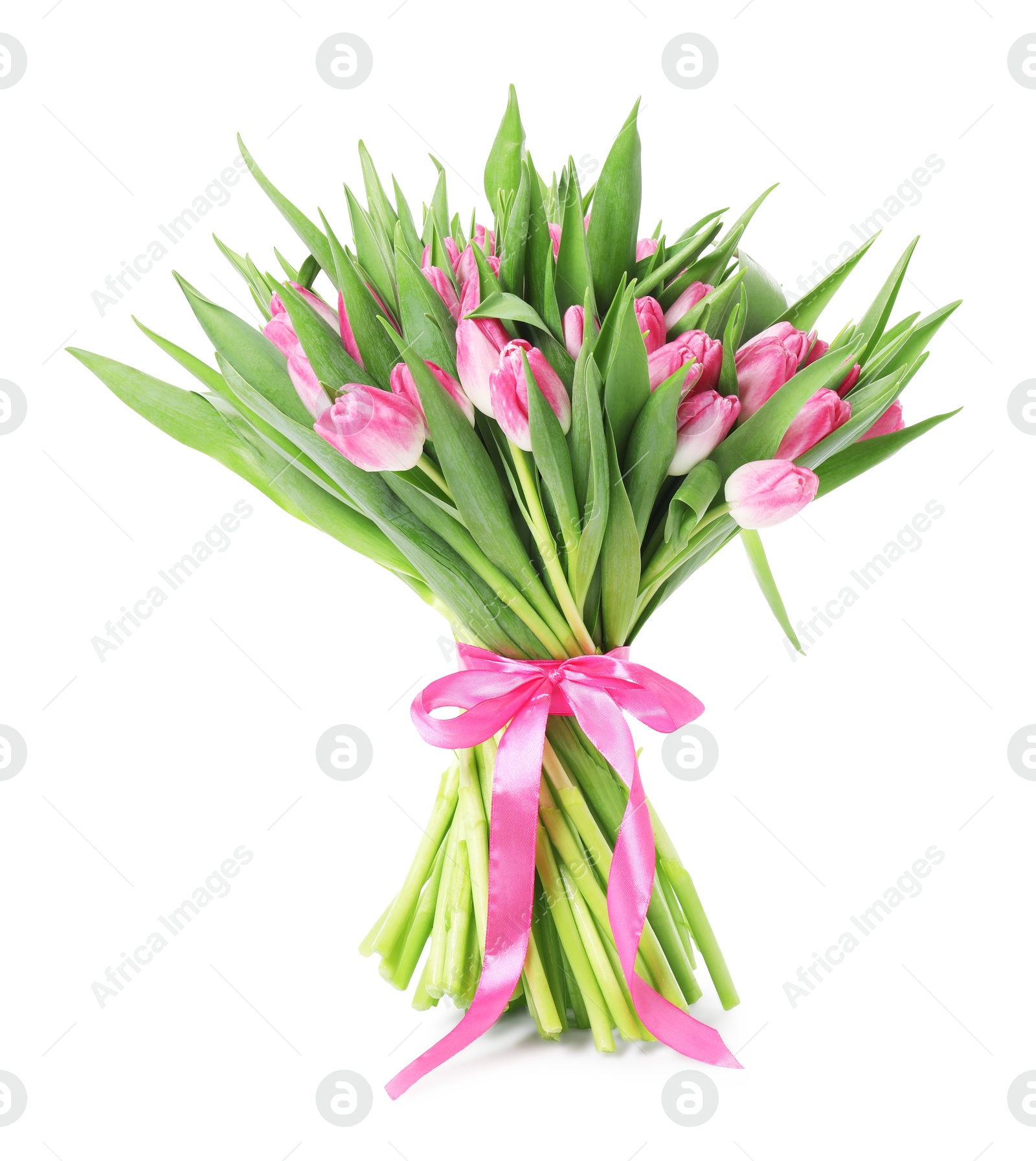 Photo of Bouquet of beautiful pink tulips isolated on white