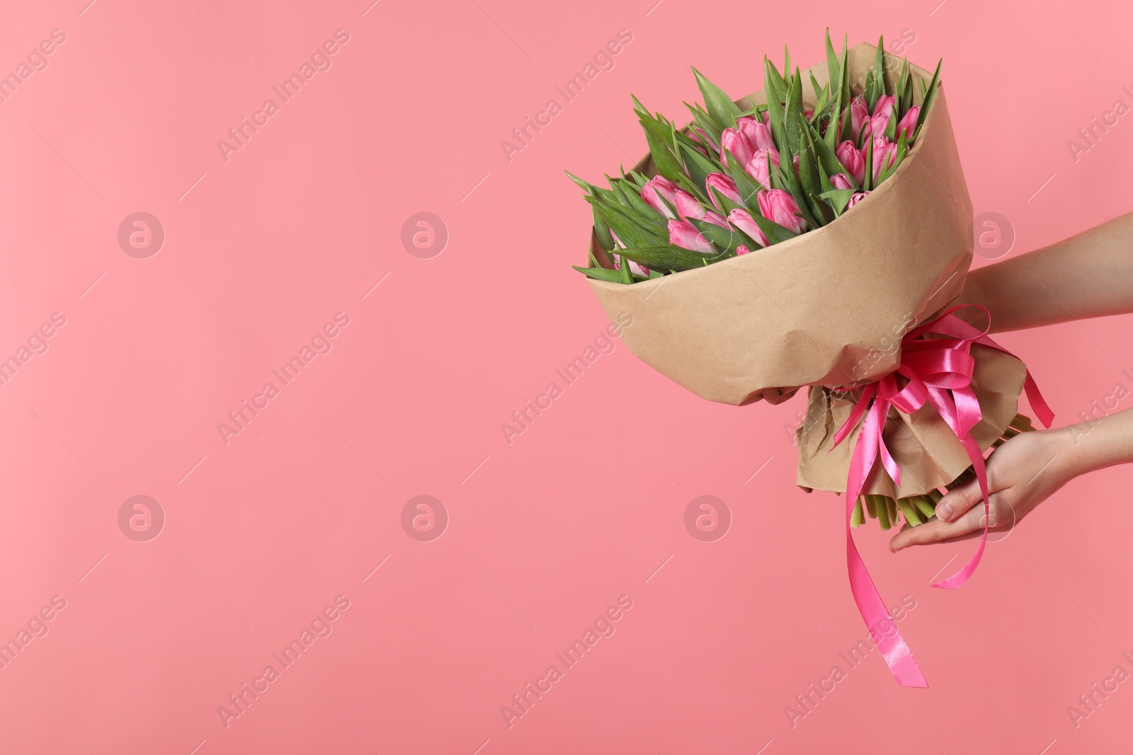 Photo of Woman with bouquet of beautiful tulips on pink background, closeup. Space for text