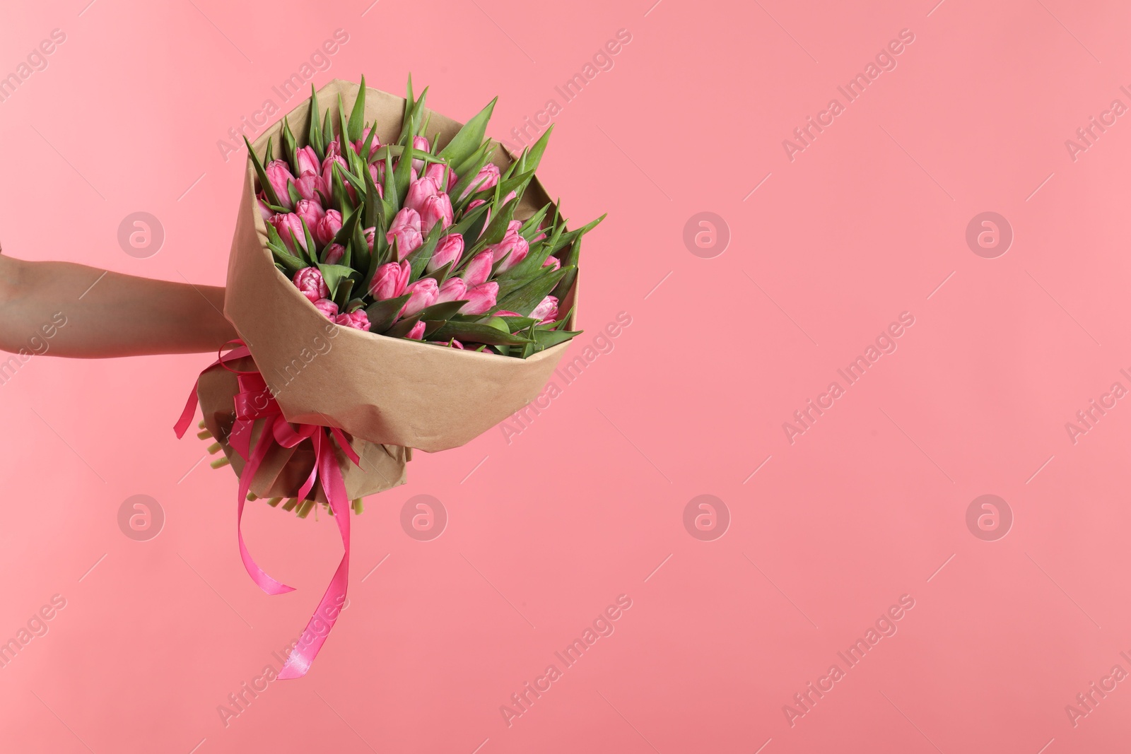 Photo of Woman with bouquet of beautiful tulips on pink background, closeup. Space for text