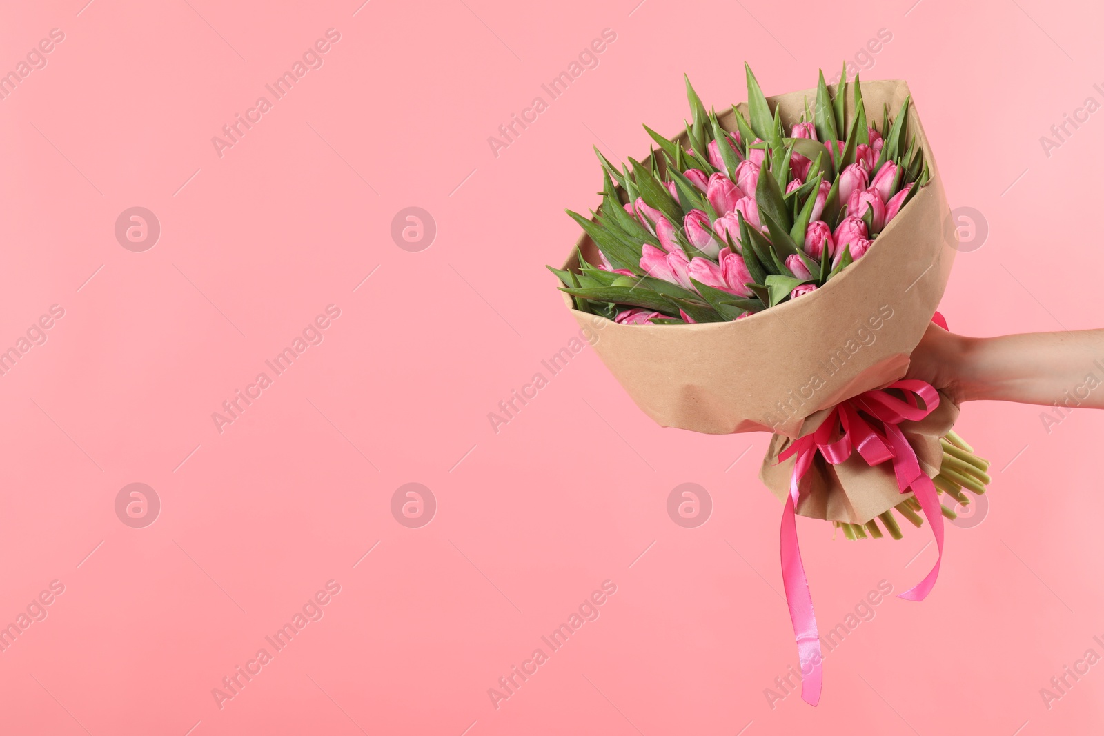 Photo of Woman with bouquet of beautiful tulips on pink background, closeup. Space for text