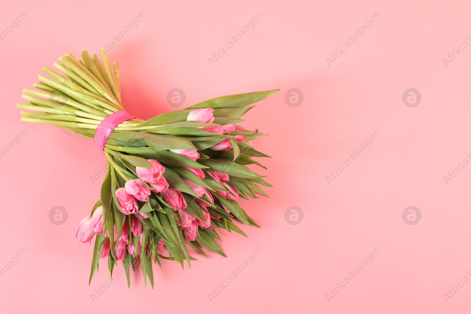 Photo of Bouquet of beautiful tulips on pink background, top view. Space for text