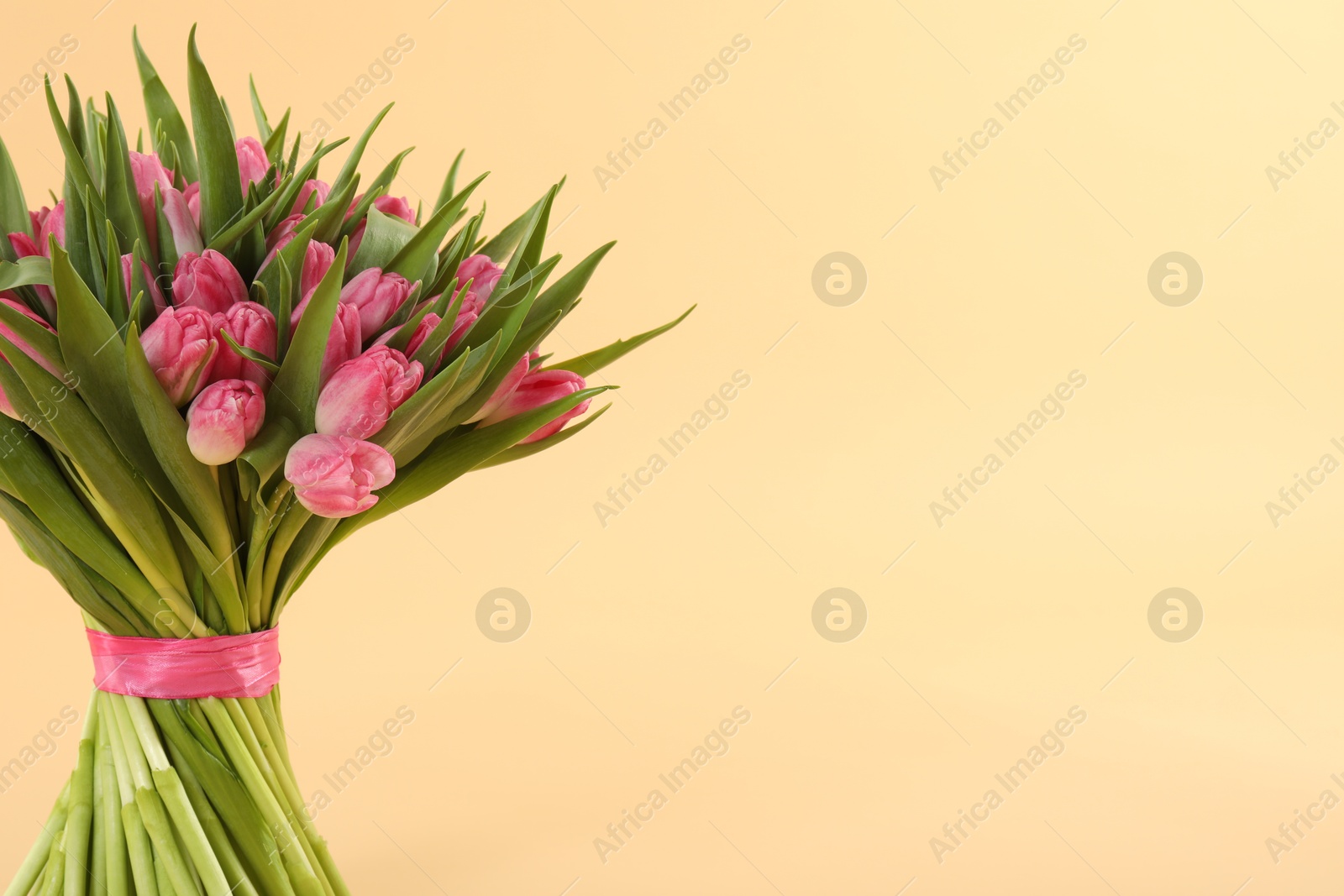 Photo of Bouquet of beautiful tulips on beige background, closeup. Space for text