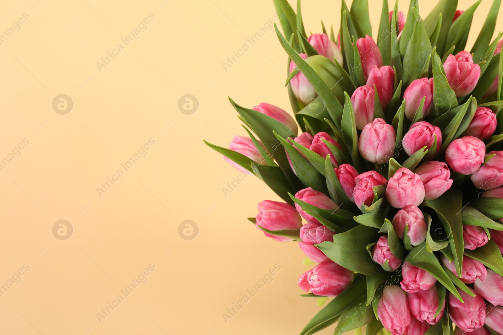 Photo of Bouquet of beautiful tulips on beige background, top view. Space for text