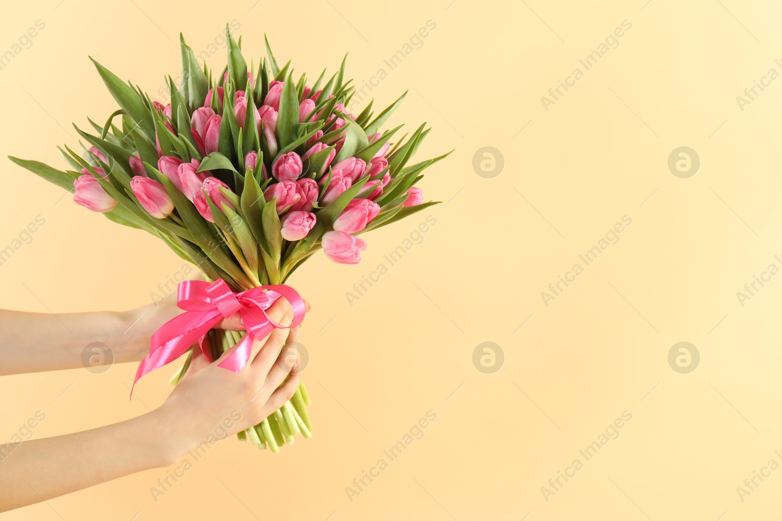 Photo of Woman with bouquet of beautiful tulips on beige background, closeup. Space for text