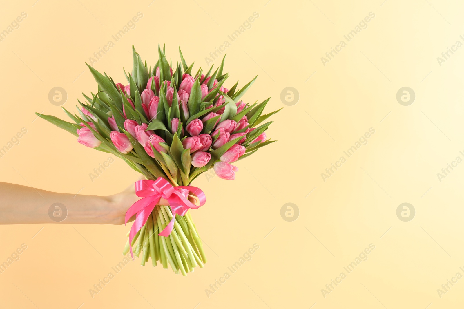 Photo of Woman with bouquet of beautiful tulips on beige background, closeup. Space for text