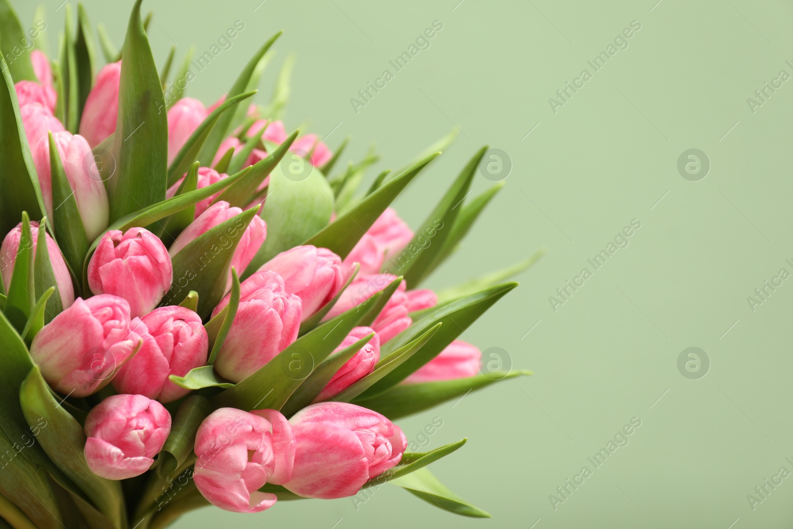 Photo of Bouquet of beautiful tulips on pale green background, closeup. Space for text