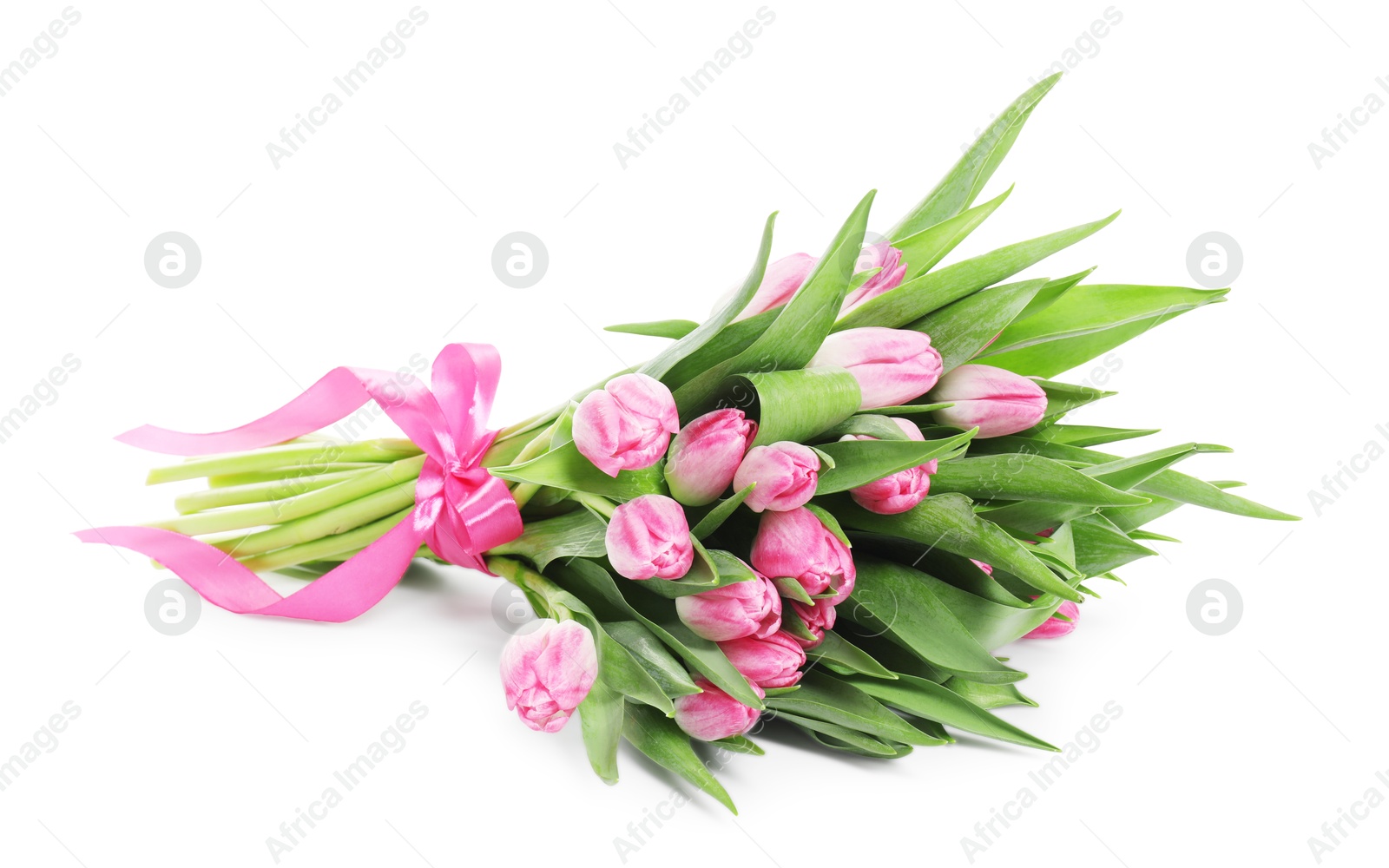 Photo of Bouquet of beautiful pink tulips isolated on white