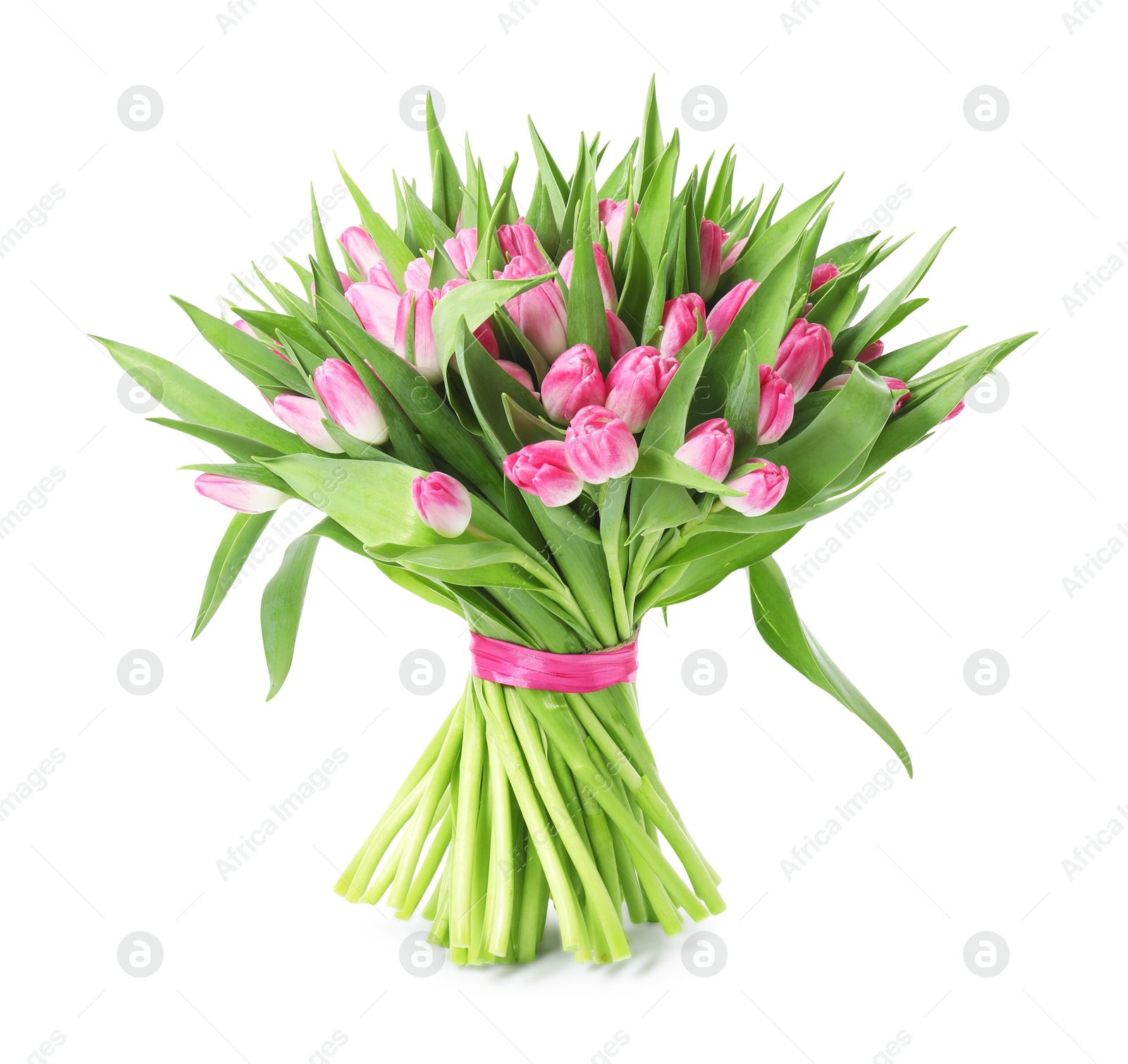 Photo of Bouquet of beautiful pink tulips isolated on white