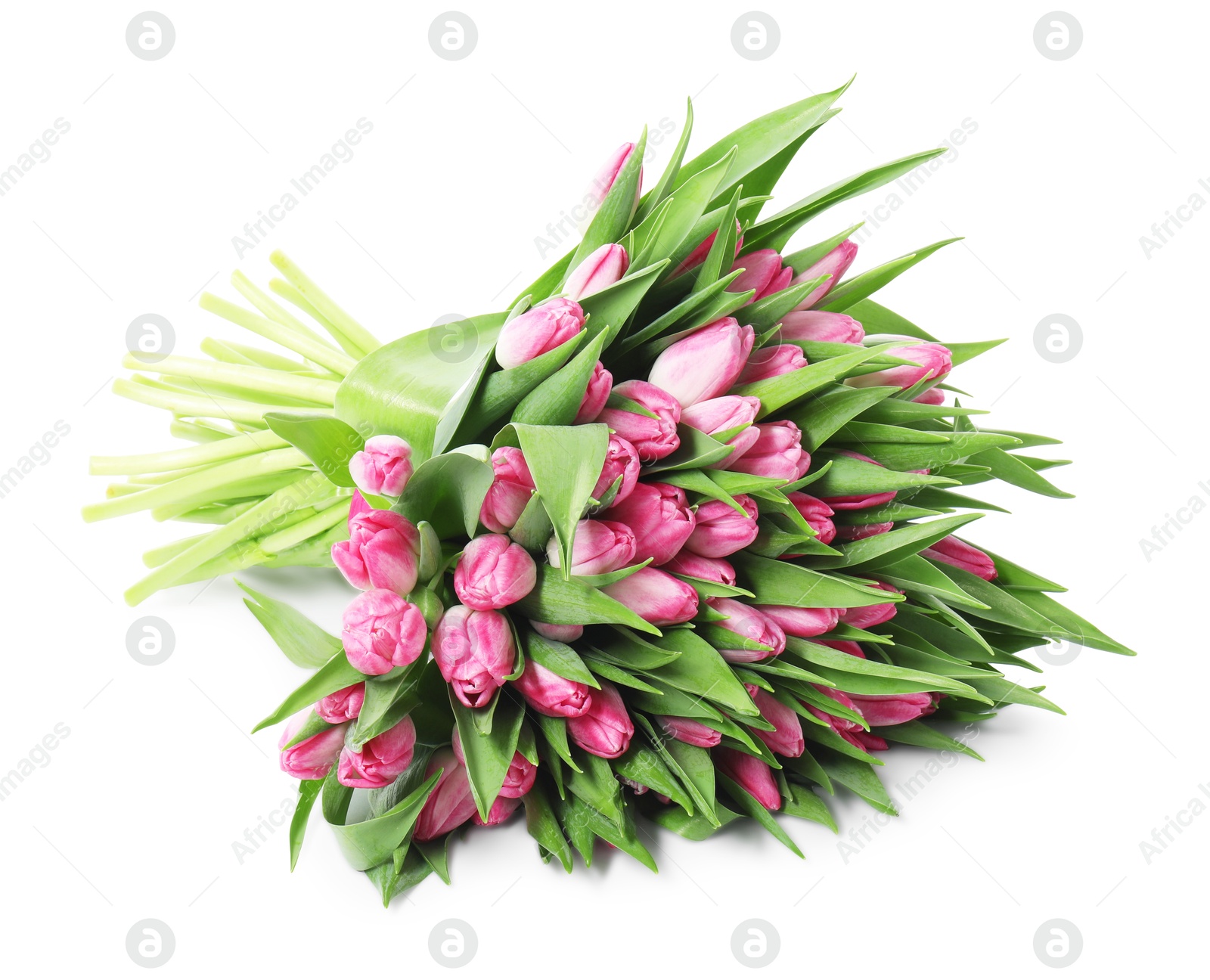 Photo of Bouquet of beautiful pink tulips isolated on white