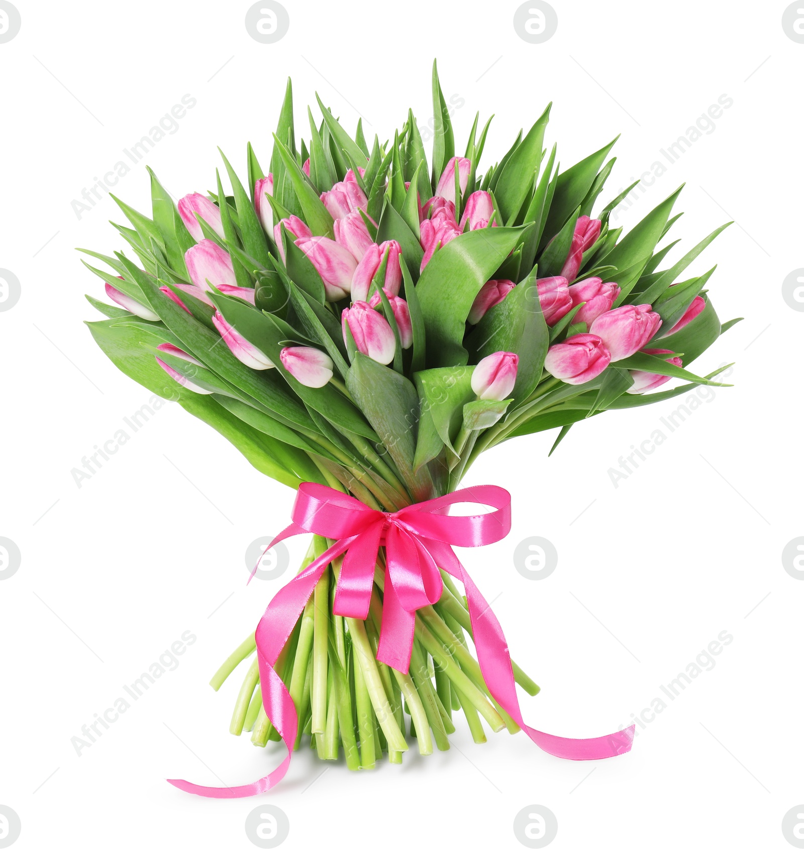 Photo of Bouquet of beautiful pink tulips isolated on white