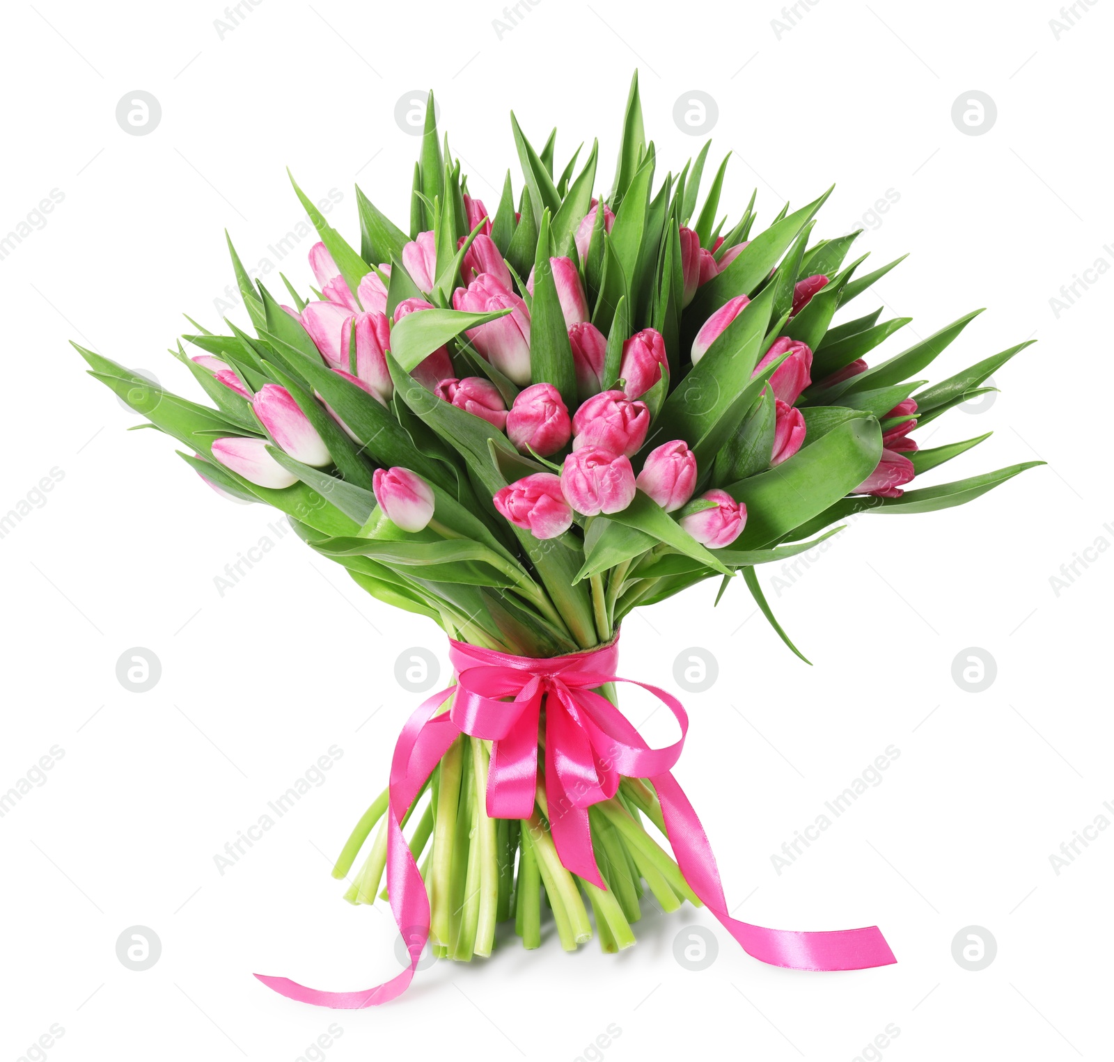 Photo of Bouquet of beautiful pink tulips isolated on white