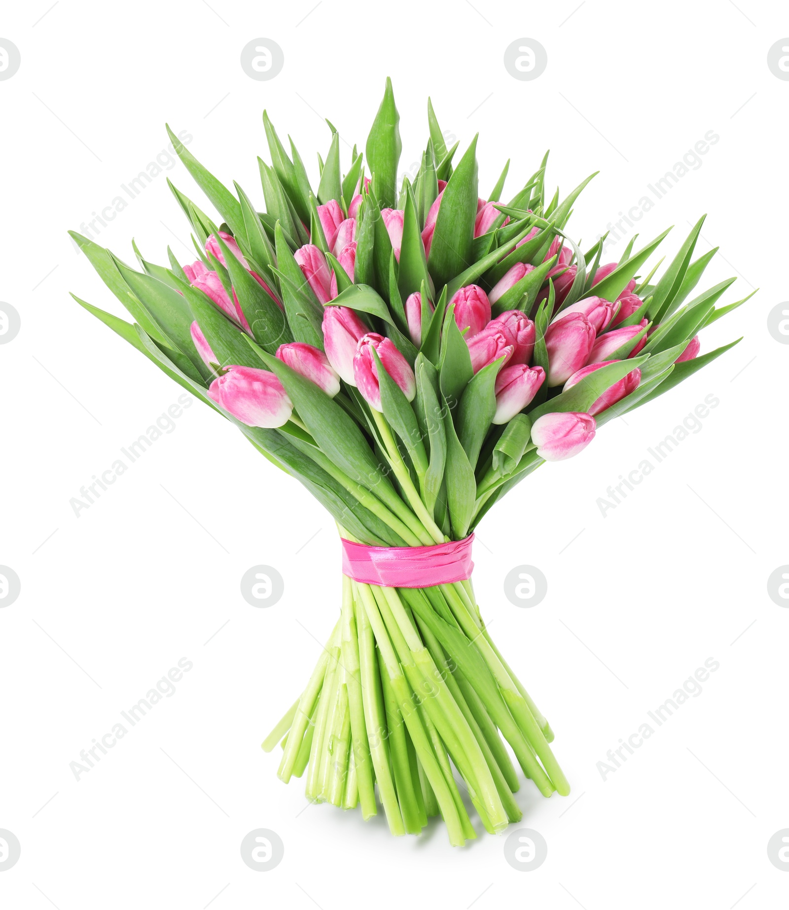 Photo of Bouquet of beautiful pink tulips isolated on white