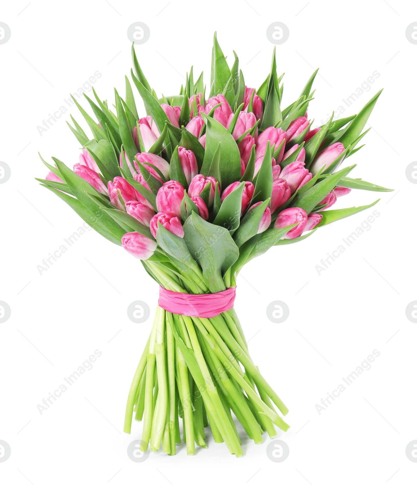 Photo of Bouquet of beautiful pink tulips isolated on white