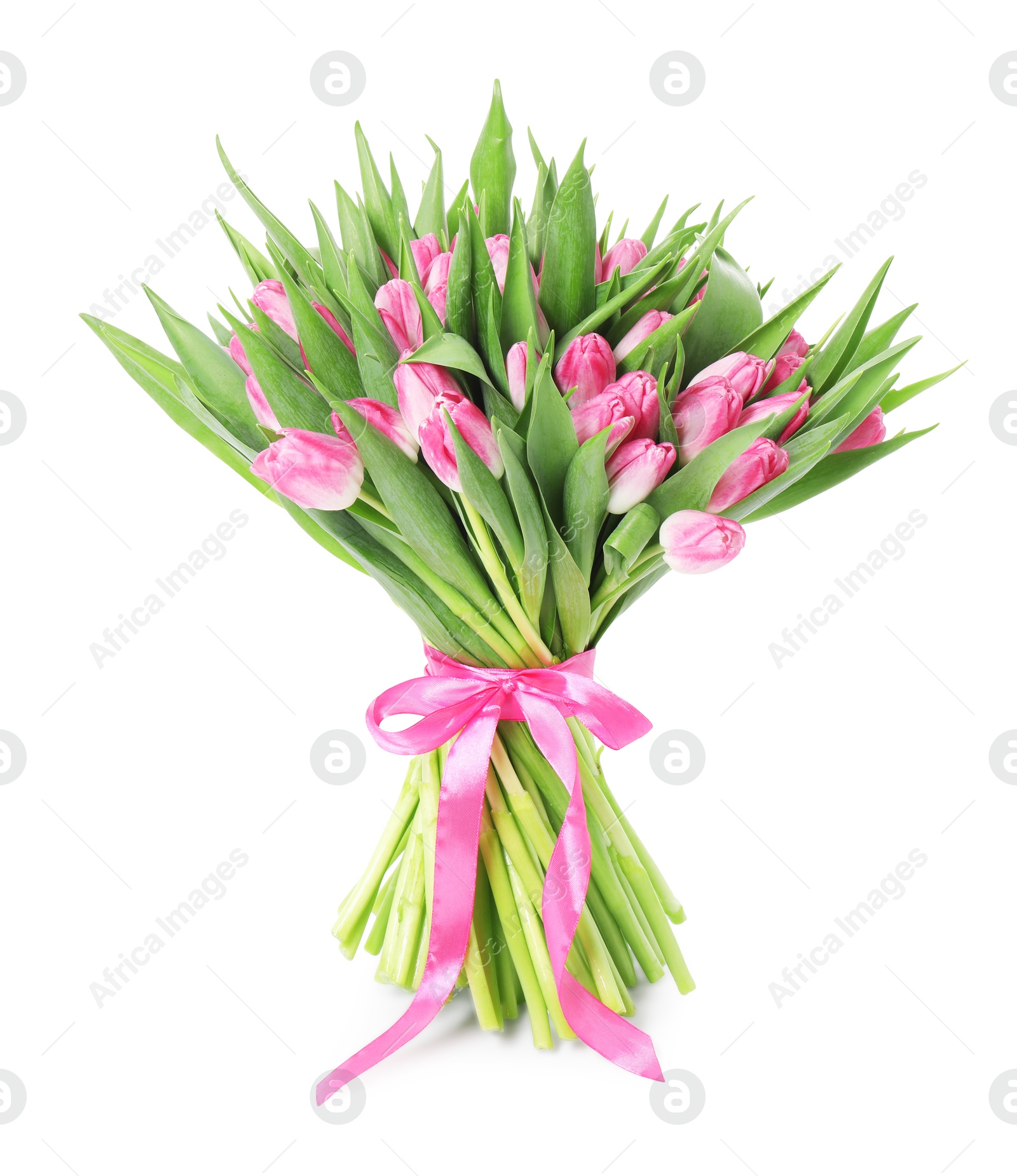 Photo of Bouquet of beautiful pink tulips isolated on white