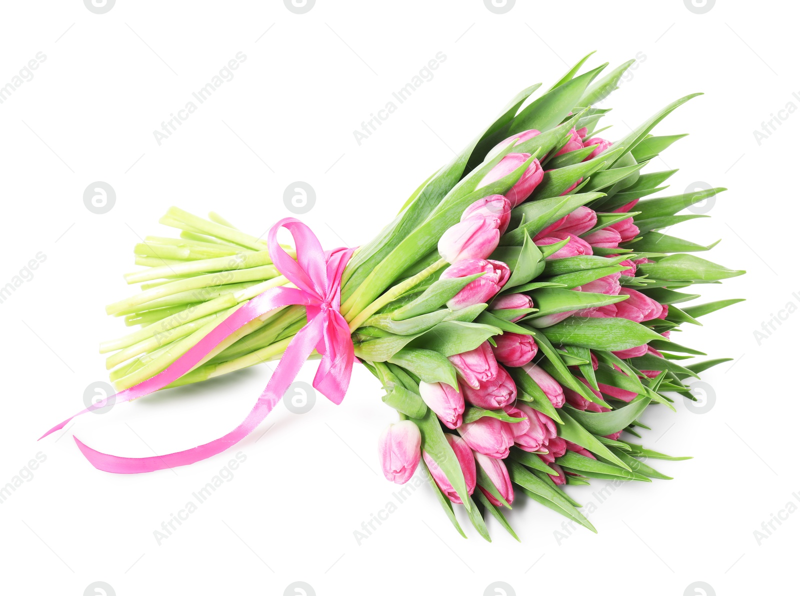 Photo of Bouquet of beautiful pink tulips isolated on white