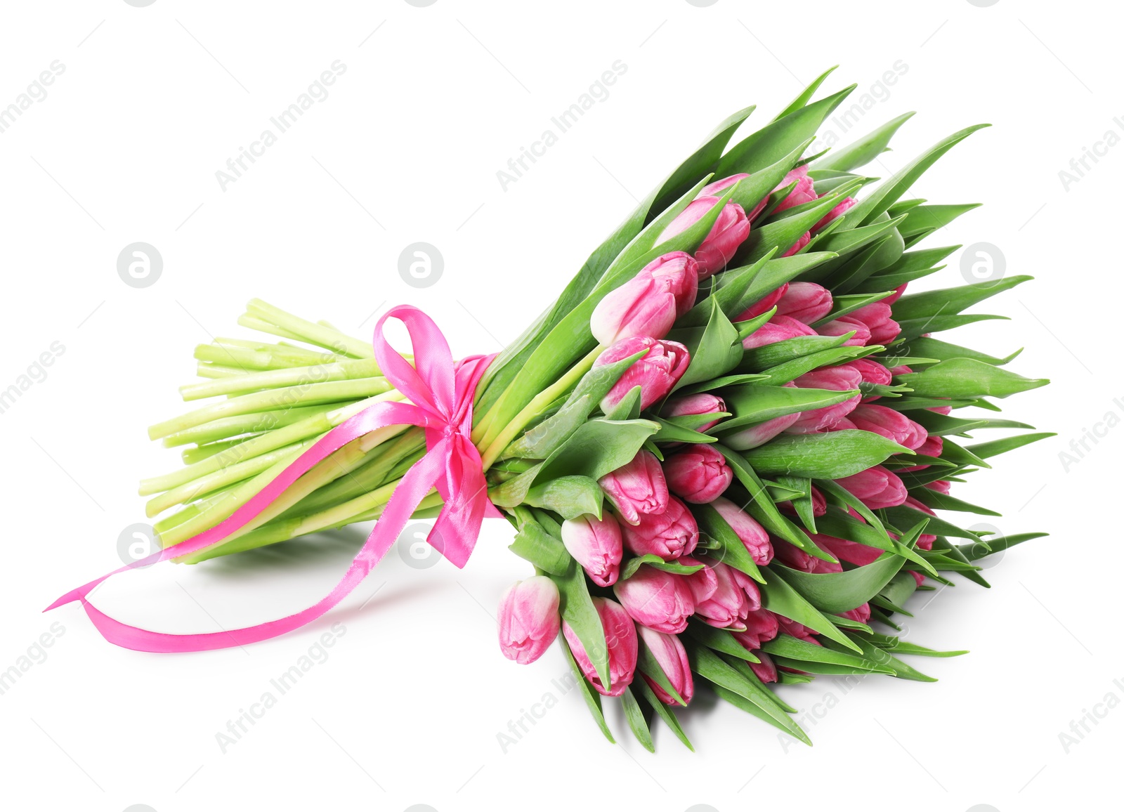 Photo of Bouquet of beautiful pink tulips isolated on white