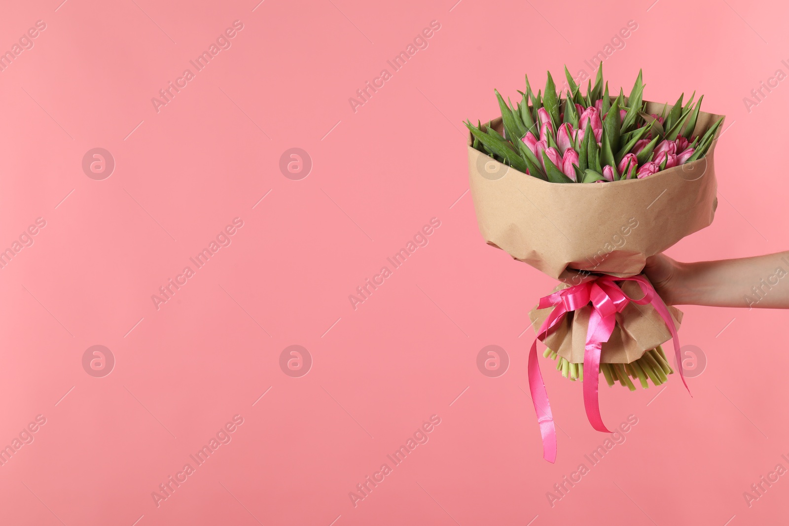 Photo of Woman with bouquet of beautiful tulips on pink background, closeup. Space for text