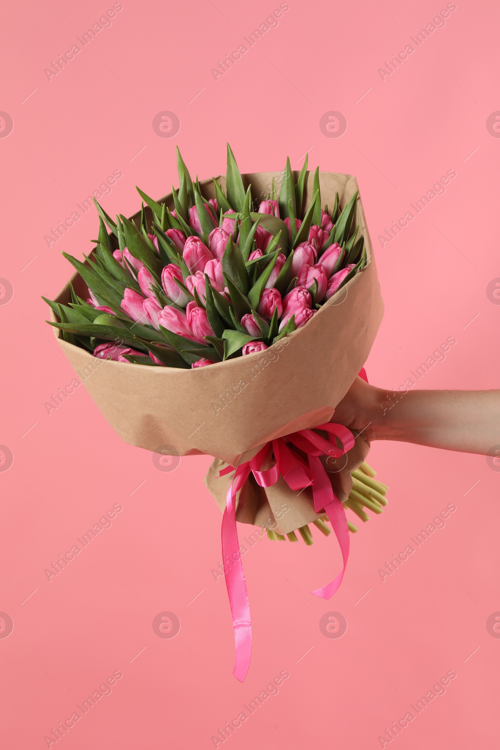 Photo of Woman with bouquet of beautiful tulips on pink background, closeup