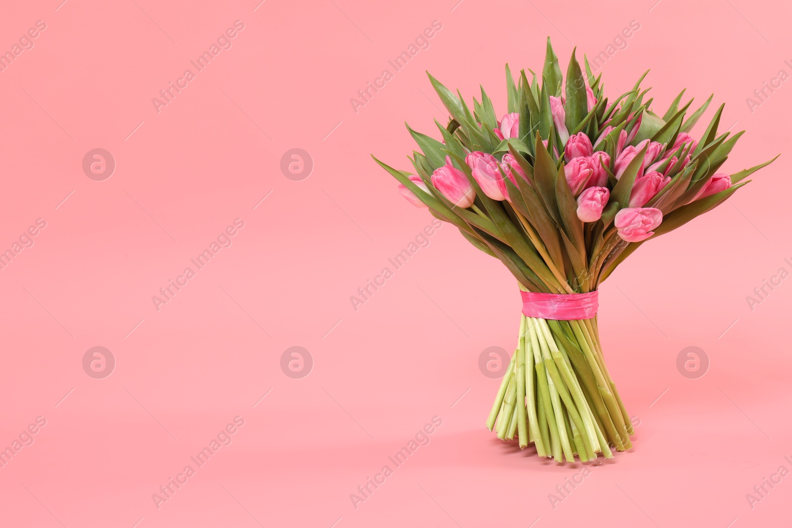 Photo of Bouquet of beautiful tulips on pink background, space for text