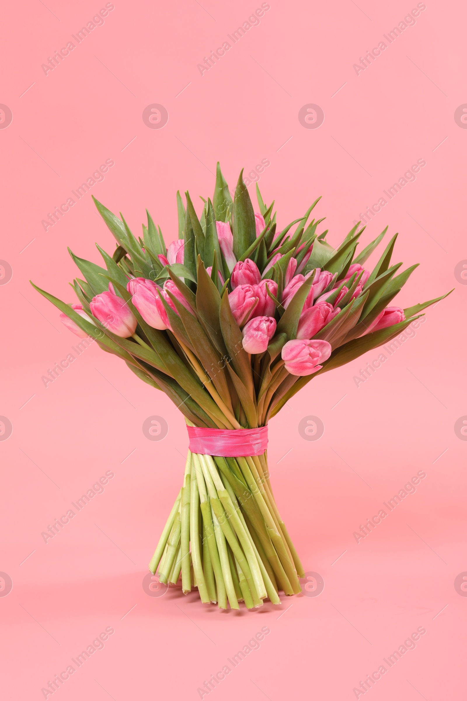 Photo of Bouquet of beautiful tulips on pink background