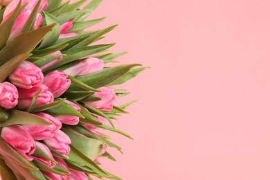 Bouquet of beautiful tulips on pink background, closeup. Space for text