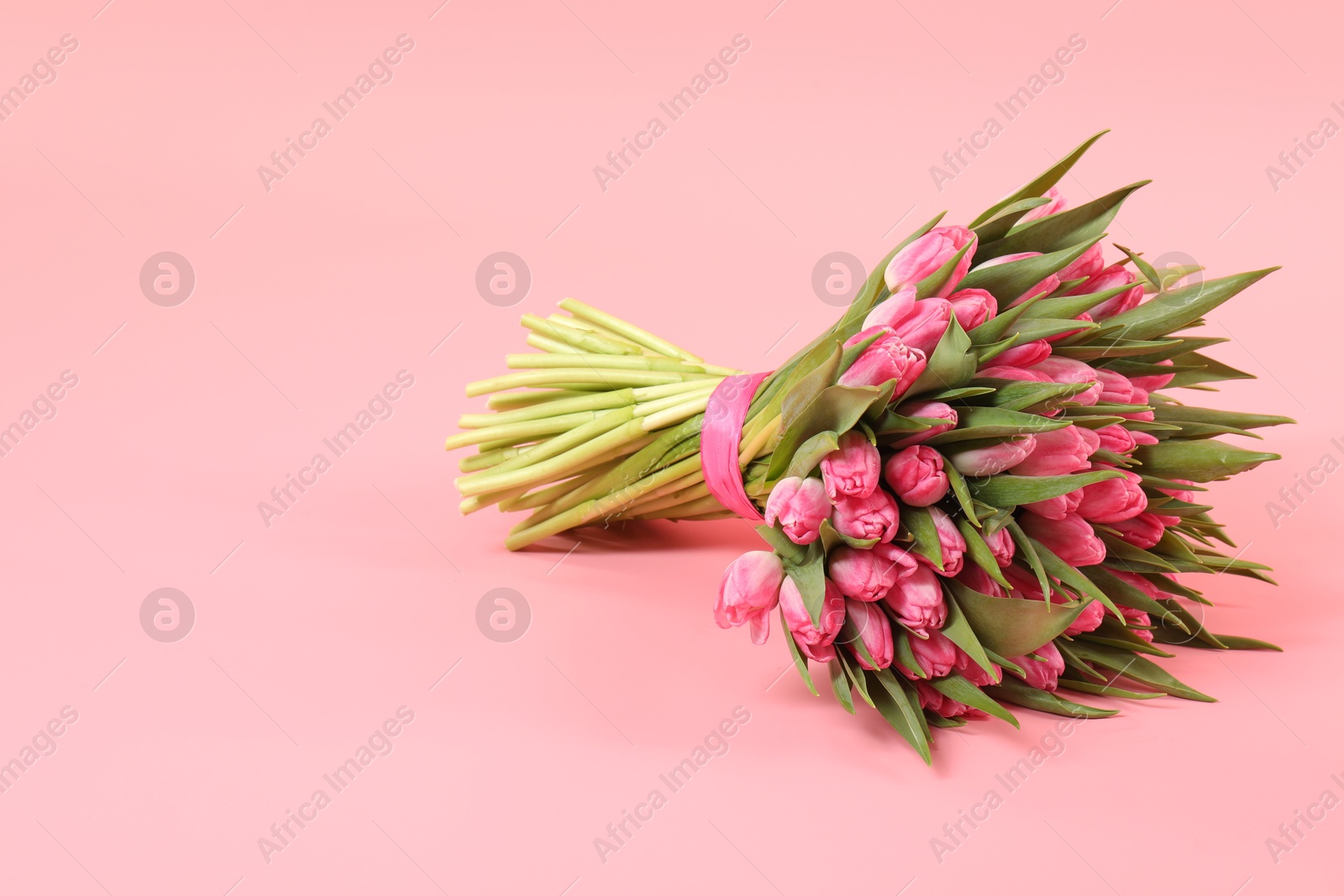 Photo of Bouquet of beautiful tulips on pink background, space for text