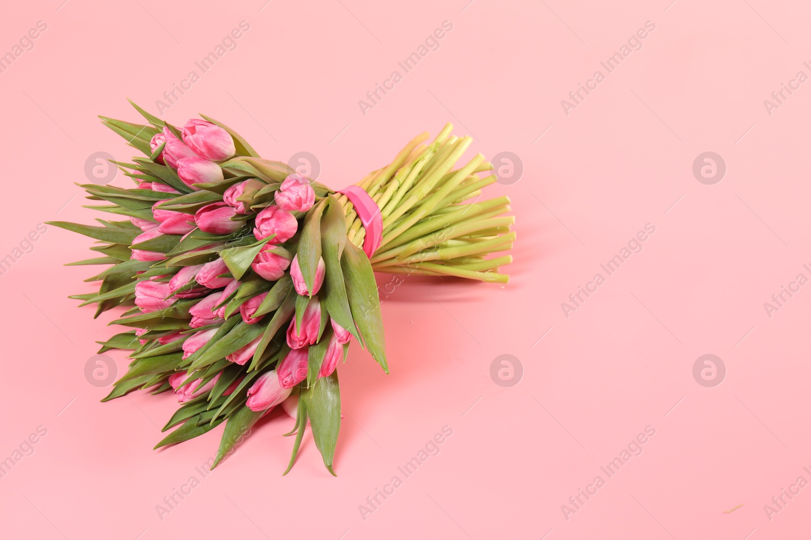 Photo of Bouquet of beautiful tulips on pink background, space for text