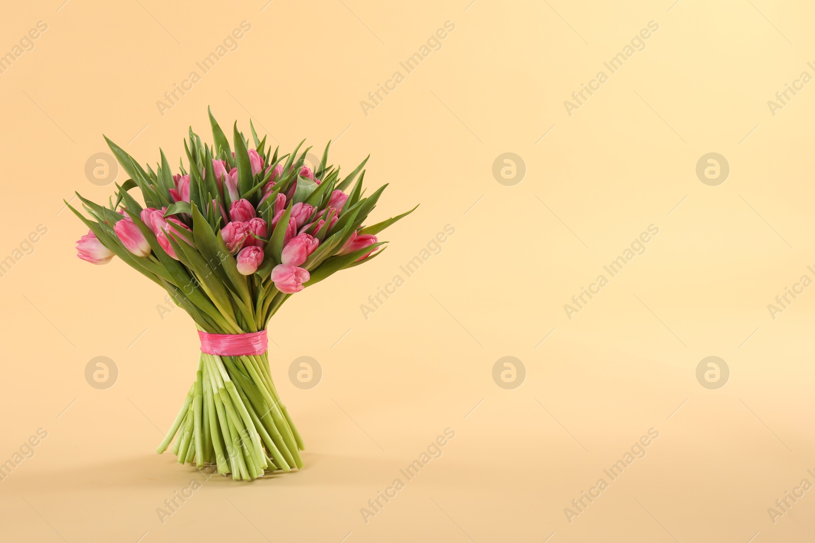 Photo of Bouquet of beautiful tulips on beige background, space for text