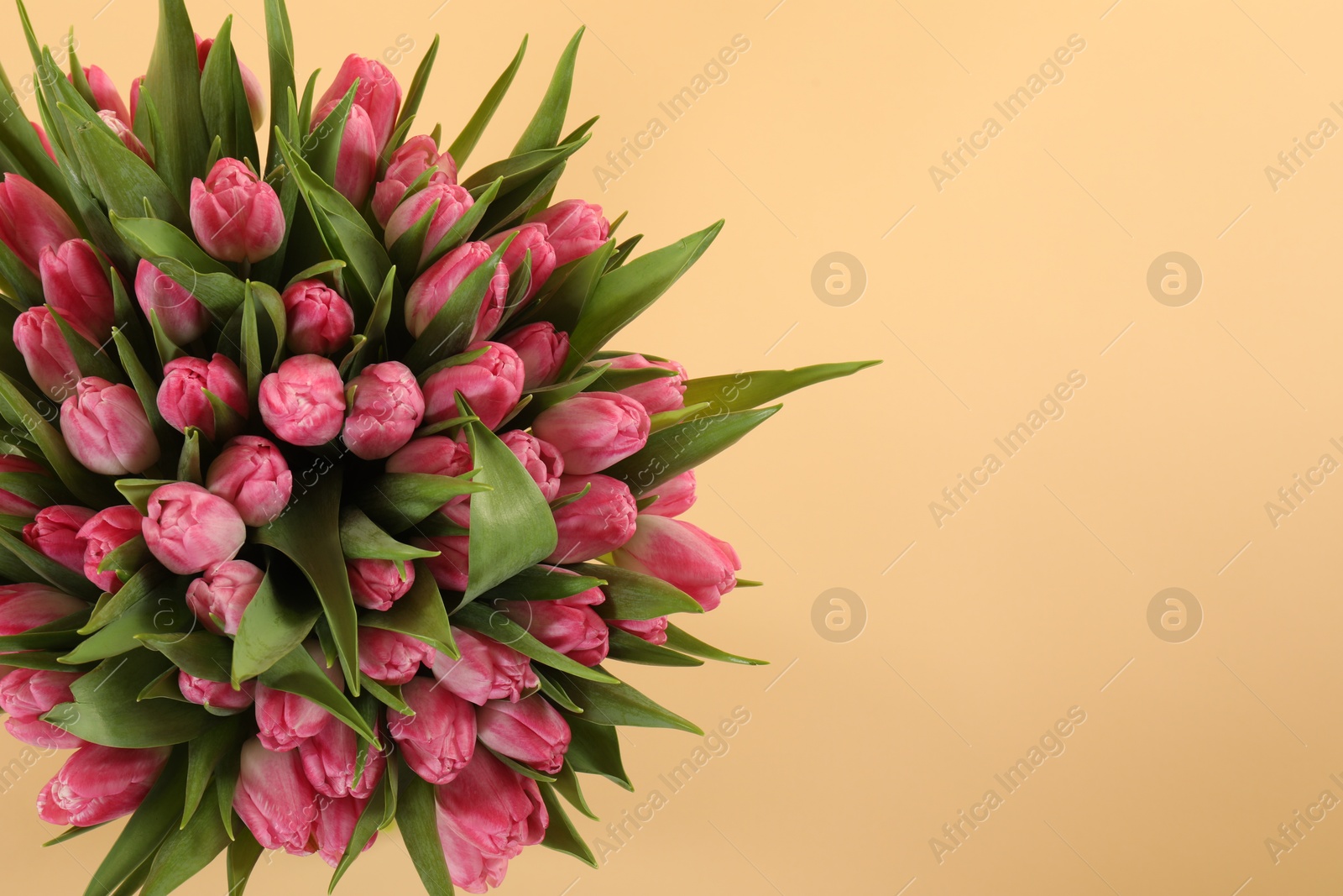 Photo of Bouquet of beautiful tulips on beige background, top view. Space for text