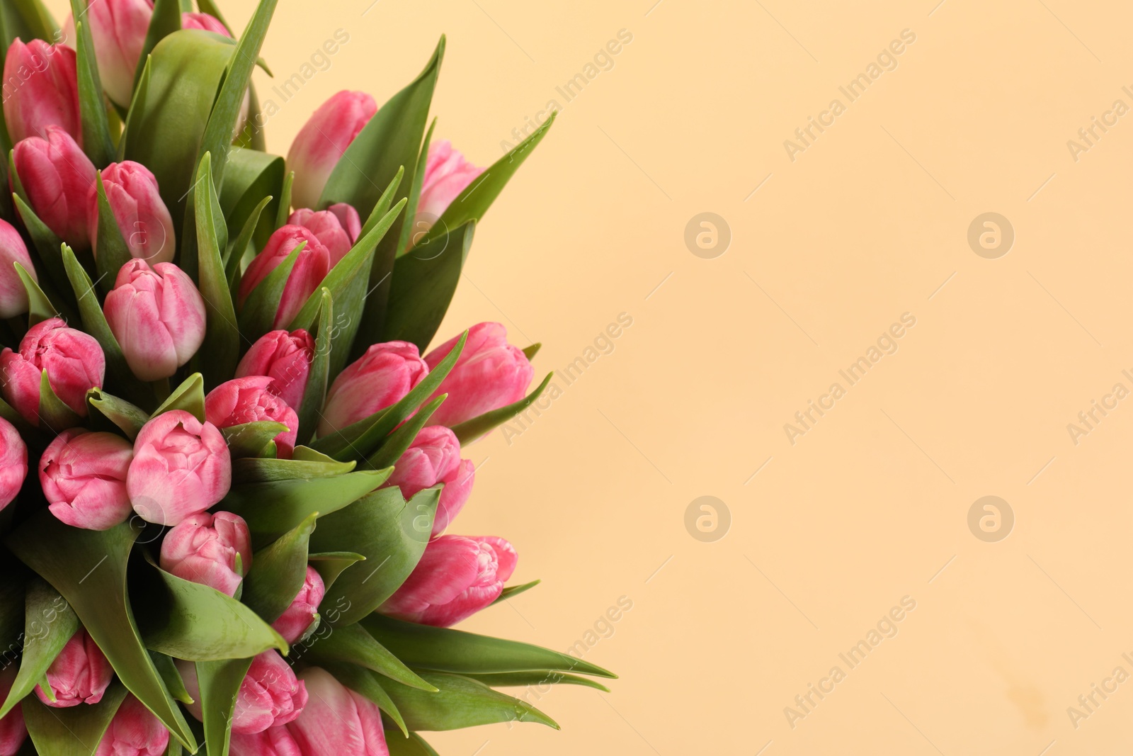 Photo of Bouquet of beautiful tulips on beige background, above view. Space for text