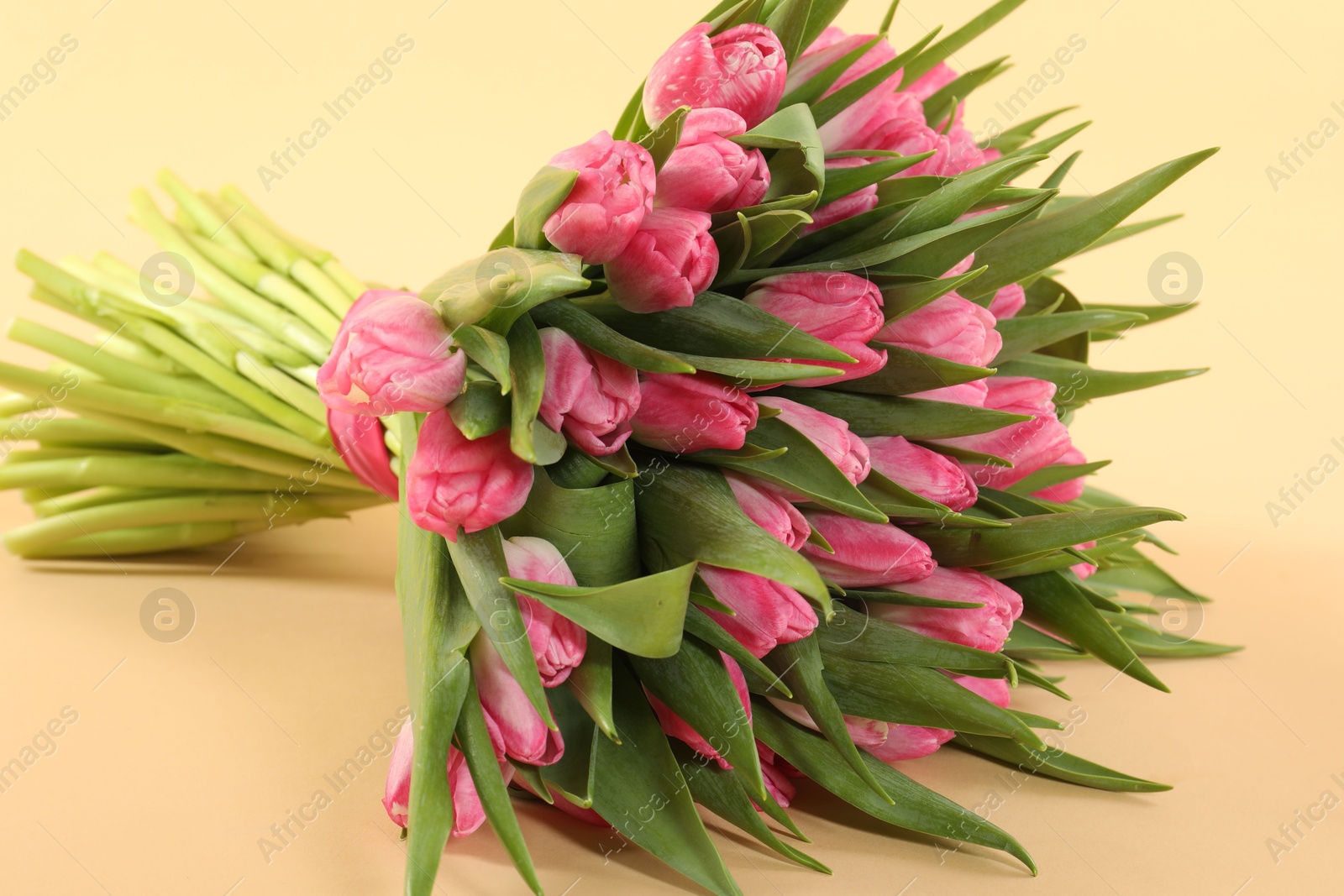 Photo of Bouquet of beautiful tulips on beige background, closeup