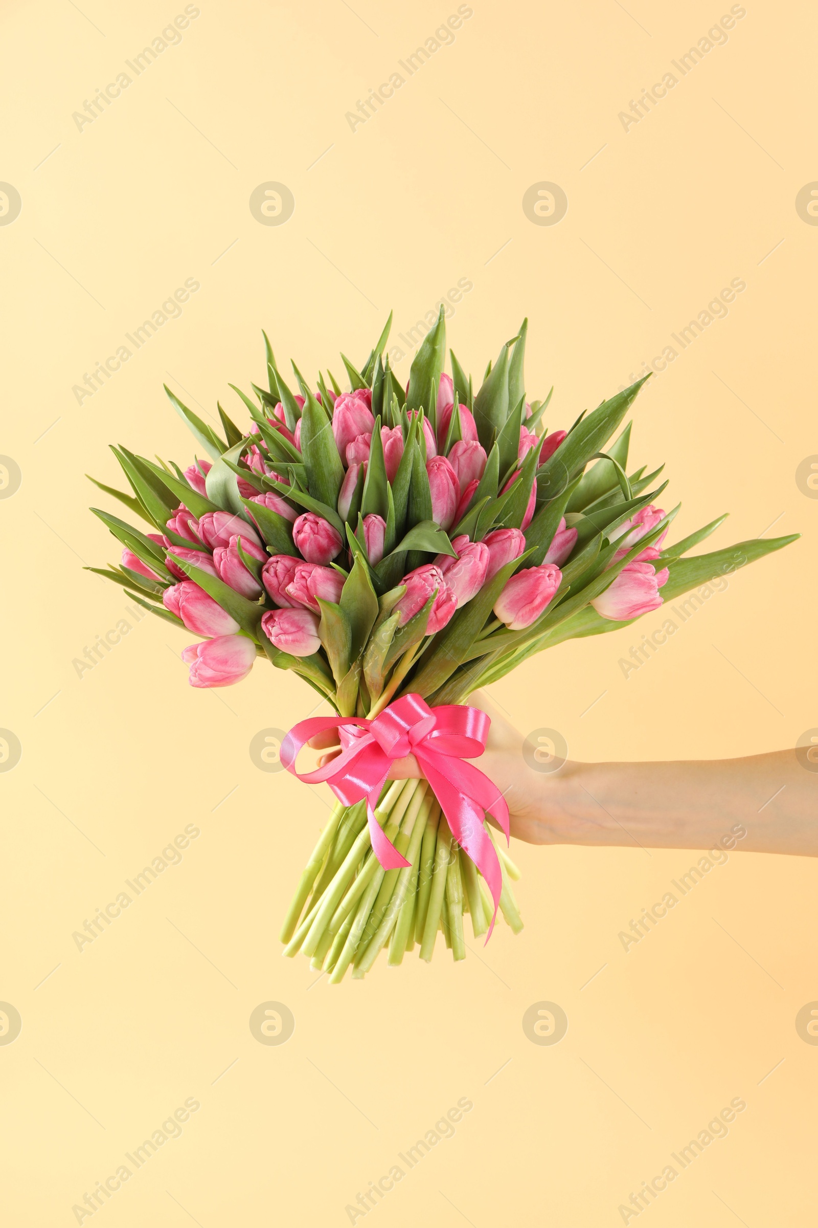 Photo of Woman with bouquet of beautiful tulips on beige background, closeup